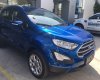 Ford EcoSport Titanium 2018 - Bán Ford EcoSport Titanium sản xuất năm 2018, mới 100%