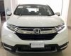 Honda CR V 2018 - Bán Honda CR V sản xuất 2018, màu trắng, nhập khẩu 