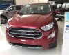 Ford EcoSport Titanium 2018 - Nam Định Ford thông báo giá xe Ecosport 2018 mới cập nhật. LH hotline: 0941921742