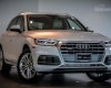 Audi Q5 Premium 2018 - Bán Audi Q5 Premium 2018, màu trắng, xe nhập