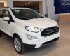 Ford EcoSport 2018 - Bán ô tô Ford EcoSport đời 2018, màu trắng