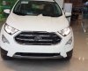 Ford EcoSport 2018 - Bán ô tô Ford EcoSport đời 2018, màu trắng