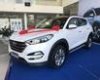 Hyundai Tucson 2018 - Bán xe Hyundai Tucson đời 2018, màu trắng