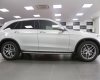 Mercedes-Benz Smart GLC300 4Matic 2018 - Bán xe Mercedes GLC300 4Matic 2018, màu trắng - nội thất Đen-Nâu, giao ngay, giá tốt - Mercedes Haxaco Võ Văn Kiệt