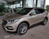 Hyundai Santa Fe 2017 - Bán Hyundai Santa Fe sản xuất năm 2017