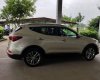 Hyundai Santa Fe 2017 - Bán Hyundai Santa Fe sản xuất năm 2017