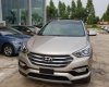 Hyundai Santa Fe 2017 - Bán Hyundai Santa Fe sản xuất năm 2017