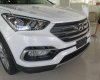 Hyundai Santa Fe 2018 - Bán xe Hyundai Santa Fe -ưu đãi lớn tại Hyundai Cao Bằng