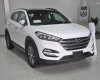Hyundai Tucson 2.0 2018 - Bán Hyundai Tucson 2020 Thanh Hóa rẻ nhất, xe đủ màu, trả góp chỉ 300tr có xe 