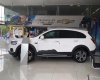 Chevrolet Captiva 2017 - Bán Chevrolet Captiva đời 2017, màu trắng, giá tốt