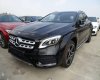 Mercedes-Benz GLA-Class   2018 - Bán Mercedes GLA-Class sản xuất 2018, màu đen, xe nhập