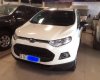 Ford EcoSport Titatium 2016 - Bán ô tô Ford EcoSport Titatium năm 2016, màu trắng, giá 559tr
