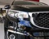 Kia Sedona 2018 - Bán ô tô Kia Sedona đời 2018, màu đen, giá tốt