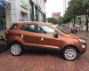 Ford EcoSport  Titanium AT 2018 - Cần bán Ford EcoSport Titanium đời 2018, màu nâu, 648tr, giao xe tại Nam Định