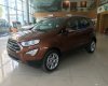 Ford EcoSport Ecoboost 1.0 AT 2018 - Bán Ford EcoSport Ecoboost đời 2018, màu nâu tại Cao Bằng