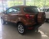 Ford EcoSport Ecoboost 1.0 AT 2018 - Bán Ford EcoSport Ecoboost đời 2018, màu nâu tại Cao Bằng