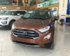 Ford EcoSport Ecoboost 1.0 AT 2018 - Bán Ford EcoSport Ecoboost đời 2018, màu nâu tại Cao Bằng