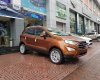 Ford EcoSport  Titanium AT 2018 - Cần bán Ford EcoSport Titanium đời 2018, màu nâu, 648tr, giao xe tại Nam Định