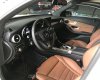 Mercedes-Benz Smart GLC 250 2017 - Bán xe Mercedes GLC 250 sx 2017 trắng lướt 5000km, xe của tổng bí thư
