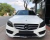 Mercedes-Benz Smart GLC 300 2017 - Bán Merc GLC 300 SX 2017 màu trắng nâu