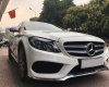 Mercedes-Benz Smart GLC 300 2017 - Bán Merc GLC 300 SX 2017 màu trắng nâu