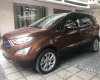 Ford EcoSport Ecoboost 1.0L AT 2018 - Bán Ford Ecosport 2018 tại Nam Định, khuyến mãi lớn, đủ màu, giao ngay, hỗ trợ vay 80%