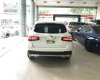 Mercedes-Benz Smart GLC 250 2017 - Bán xe Mercedes GLC 250 sx 2017 trắng lướt 5000km, xe của tổng bí thư