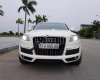 Audi Q7 2009 - Bán Audi Q7 đời 2009, màu trắng, nhập khẩu