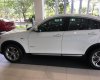 BMW X4 XDrive20i xLine 2017 - Cần bán xe BMW X4 XDrive20i xLine đời 2017, màu trắng, xe nhập