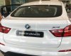 BMW X4 XDrive20i xLine 2017 - Cần bán xe BMW X4 XDrive20i xLine đời 2017, màu trắng, xe nhập