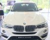 BMW X4 XDrive20i xLine 2017 - Cần bán xe BMW X4 XDrive20i xLine đời 2017, màu trắng, xe nhập