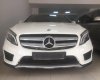 Mercedes-Benz GL Cũ Mercedes-Benz A 250 2015 - Xe Cũ Mercedes-Benz GLA 250 2015