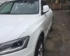 Audi Q5 2016 - Bán Audi Q5 năm sản xuất 2016, màu trắng, xe nhập