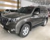 Toyota Land Cruiser Cũ 2014 - Xe Cũ Toyota Land Cruiser 2014