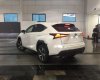 Lexus NX  300T 2018 - Bán xe Lexus NX 300T năm 2018, màu trắng, xe nhập