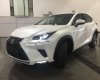 Lexus NX  300T 2018 - Bán xe Lexus NX 300T năm 2018, màu trắng, xe nhập