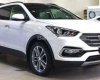 Hyundai Santa Fe 2018 - Bán Hyundai Santa Fe màu cát không lợi nhuận chỉ 300tr, trả góp vay 80%