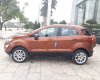 Ford EcoSport Ambien AT: 2018 - Cần bán xe EcoSport 2018, màu mâu