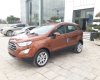 Ford EcoSport Ambien AT: 2018 - Cần bán xe EcoSport 2018, màu mâu