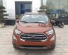 Ford EcoSport Ambien AT: 2018 - Cần bán xe EcoSport 2018, màu mâu