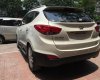 Hyundai Tucson Cũ   4WD 2010 - Xe Cũ Hyundai Tucson 4WD 2010