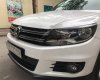 Volkswagen Tiguan 2.0 AT 2011 - Cần bán xe Volkswagen Tiguan 2.0 AT năm 2011, màu trắng, xe nhập, 651 triệu