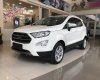 Ford EcoSport Titanium 2018 - Bán xe Ford EcoSport Titanium 2018, màu trắng, tại Hà Giang