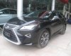 Lexus RX Mới   350 2015 - Xe Mới Lexus RX 350 2015