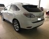 Lexus RX350 Luxury 2009 - Bán Lexus RX350 Luxury đời 2009, màu trắng, nhập khẩu