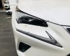 Lexus NX  300 2017 - Bán Lexus NX 300 sản xuất 2017, màu trắng, xe nhập  