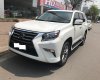 Lexus GX460 2010 - Bán xe Lexus GX460 đời 2010, màu trắng, nhập khẩu chính hãng