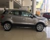 Ford EcoSport 1.5 Titanium 2018 - Cao Bằng Ford Bán xe Ford EcoSport 1.5 Titanium sản xuất 2018, màu bạc, giá chỉ 648 triệu