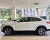 BMW X4 Xdrive 20i 2017 - Bán xe BMW X4 Xdrive 20i năm 2017, màu trắng, nhập khẩu