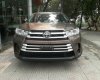 Toyota Highlander LE  2018 - Bán xe Toyota Highlander 2018, màu nâu, xe nhập